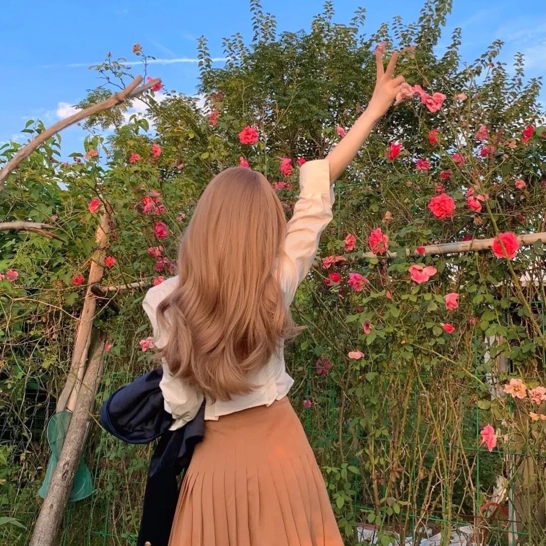 狼王：妈咪开门，我是小灰灰